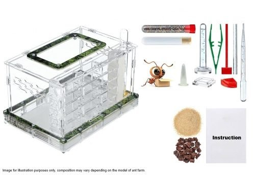 Ant Farm Kits