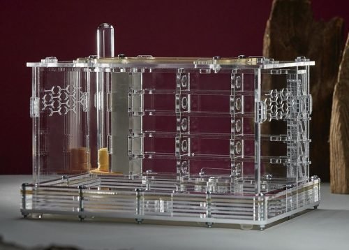 Modular Ant Farm 3XV kit - Image 5