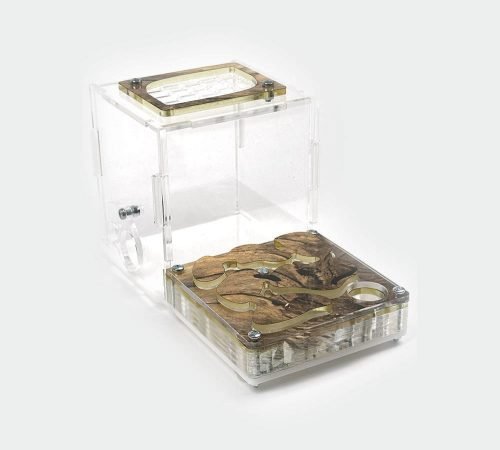 Ant Farm XL kit