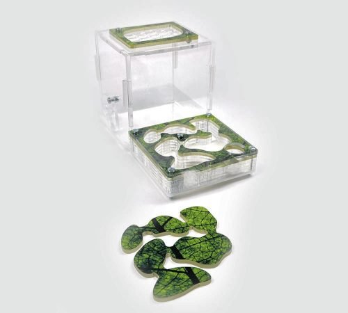 Ant Farm XL kit - Image 11