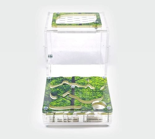 Ant Farm XL kit - Image 10