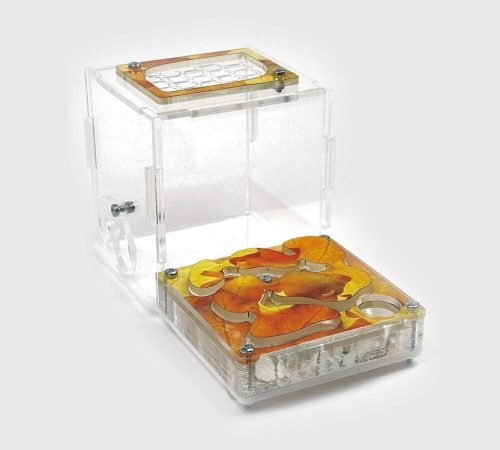 Ant Farm XL kit - Image 15