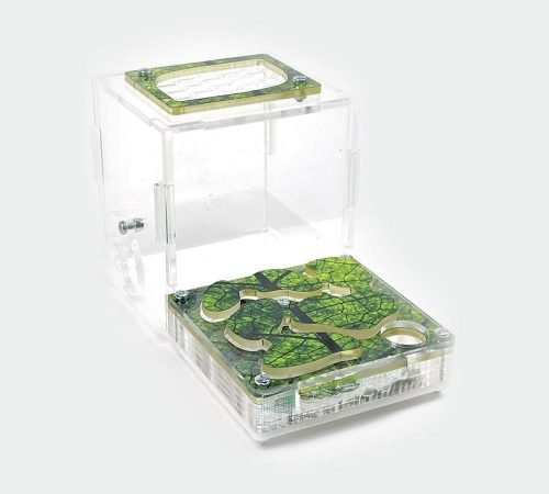 Ant Farm XL kit - Image 9