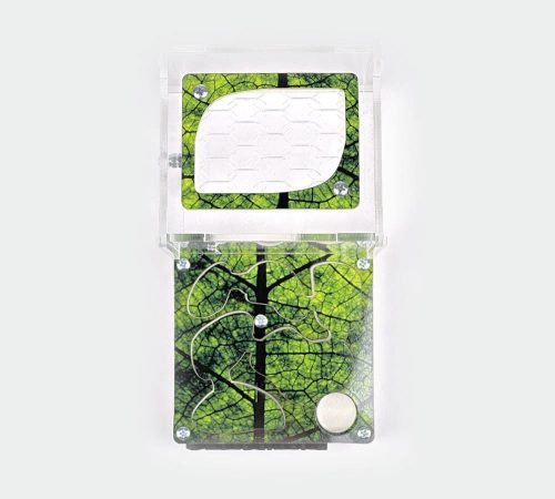 Ant Farm XL kit - Image 12