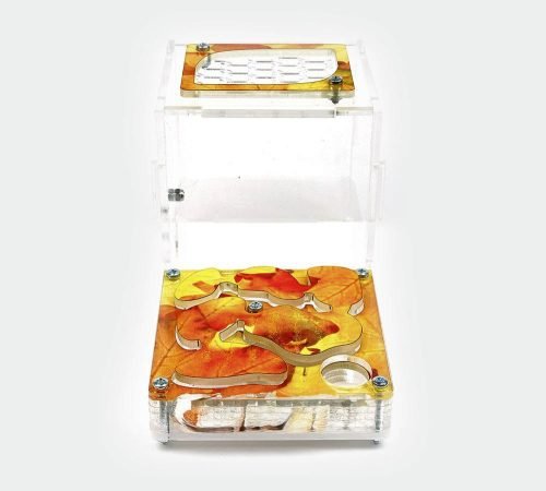 Ant Farm XL kit - Image 16