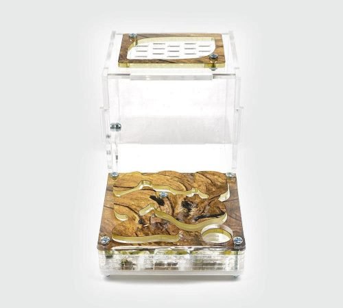 Ant Farm XL kit - Image 4