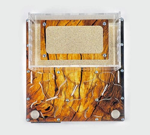 Modular Ant Farm 3XL kit - Image 9