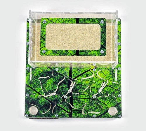 Modular Ant Farm 3XL kit - Image 8