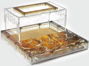 Modular Ant Farm 3XL kit