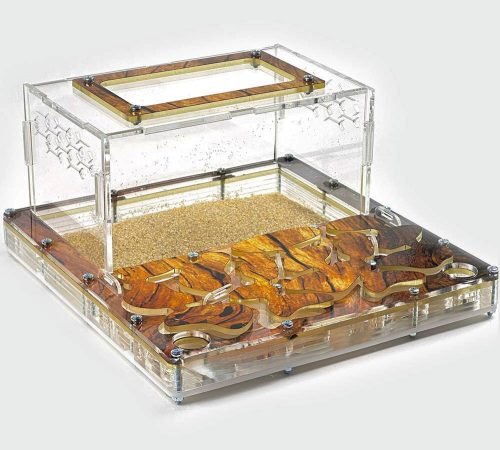 Modular Ant Farm 3XL kit