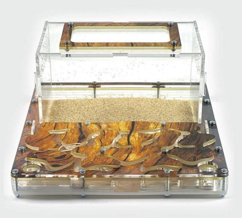 Modular Ant Farm 3XL kit - Image 5