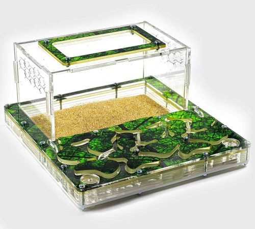 Modular Ant Farm 3XL kit - Image 3