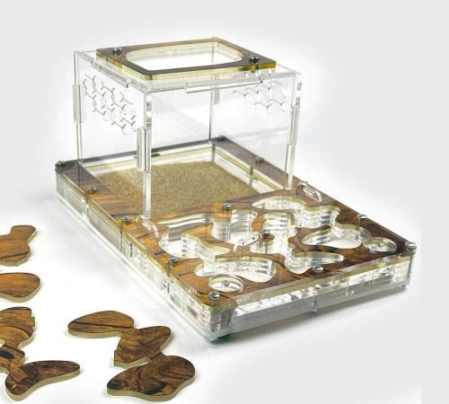 Modular Ant Farm 2XL kit - Image 3