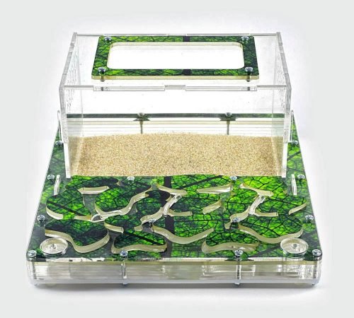 Modular Ant Farm 3XL kit - Image 4