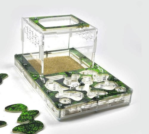 Modular Ant Farm 2XL kit - Image 4