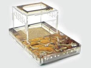 Modular Ant Farm 2XL kit