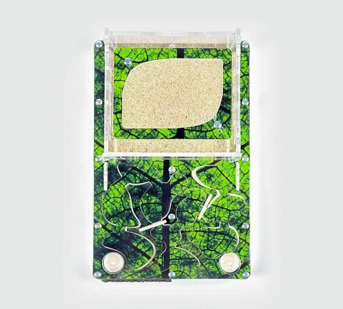 Modular Ant Farm 2XL kit - Image 8