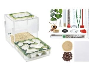 Farm XL kit (without ants)
