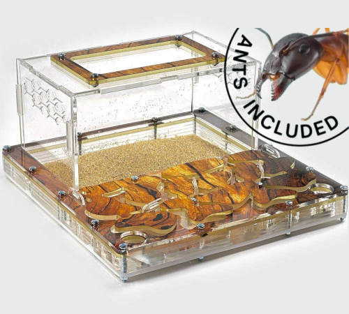 Modular Ant Farm 3XL kit
