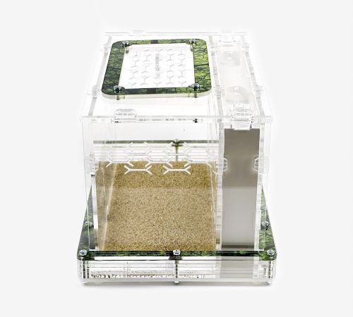 Modular Ant Farm 3XV Gypsum kit - Image 8