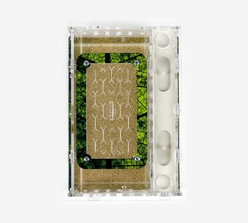 Modular Ant Farm 3XV Gypsum kit - Image 9