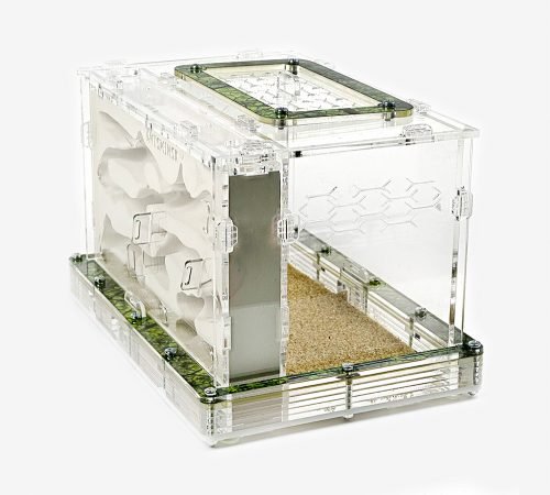 Modular Ant Farm 3XV Gypsum kit - Image 6