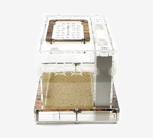 Modular Ant Farm 3XV Gypsum kit - Image 5