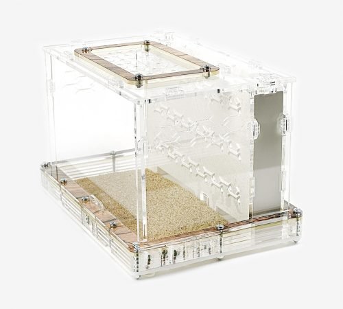 Modular Ant Farm 3XV Gypsum kit - Image 4