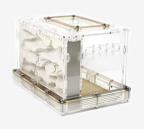 Modular Ant Farm 3XV Gypsum kit