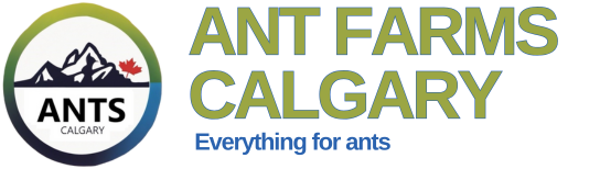 Ant Farms Calgary