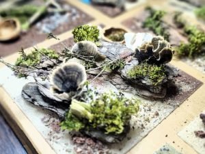 Decoration suitable for extension Arena (random)