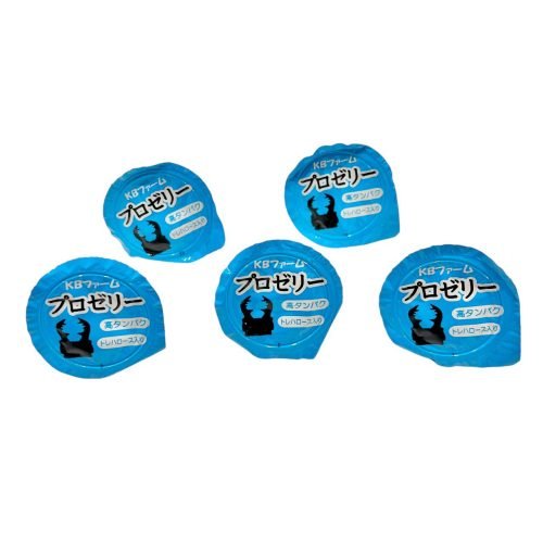5 High Protein Insect Jelly 16g (Ants & Beetles) - Image 2