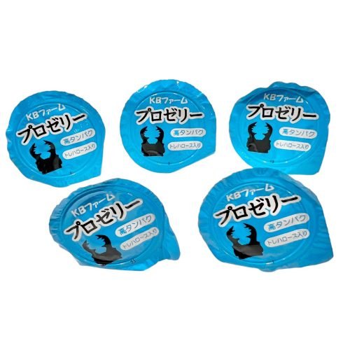 5 High Protein Insect Jelly 16g (Ants & Beetles) - Image 3