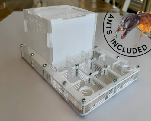 Modular Ant Farm 2XL WHITE kit