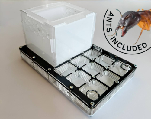 Modular Ant Farm 2XL BLACK kit