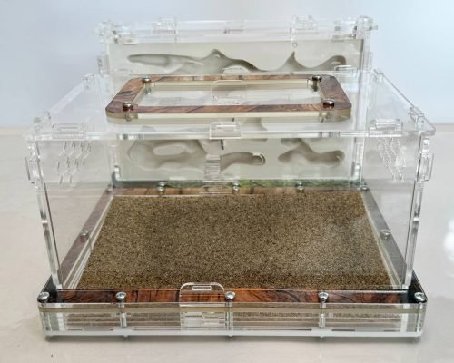 Modular Ant Farm 4XV Gypsum kit - Image 5