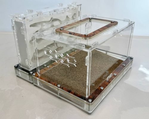 Modular Ant Farm 4XV Gypsum kit - Image 4