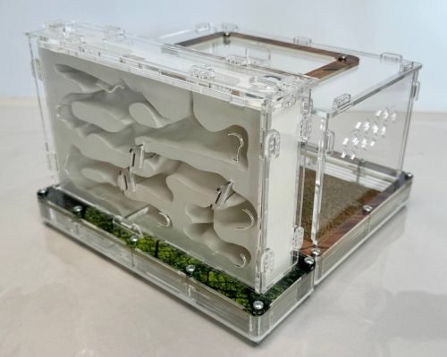 Modular Ant Farm 4XV Gypsum kit - Image 3