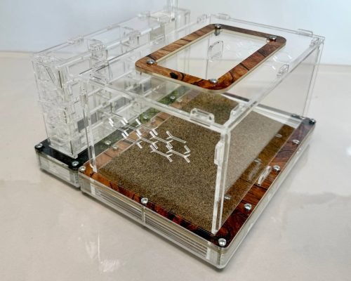 Modular Ant Farm 4XV kit - Image 3