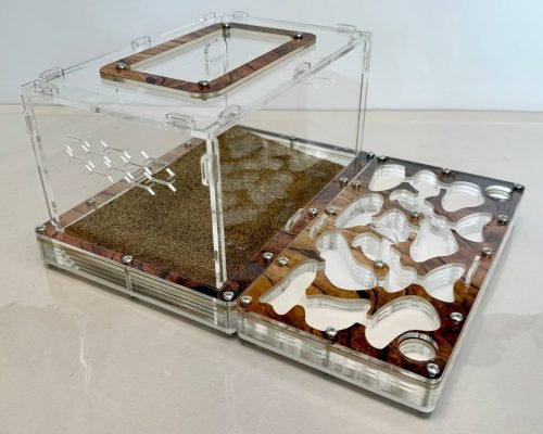 Modular Ant Farm 4XL kit - Image 4