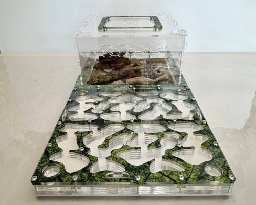 Modular Ant Farm 5XL Max kit - Image 4