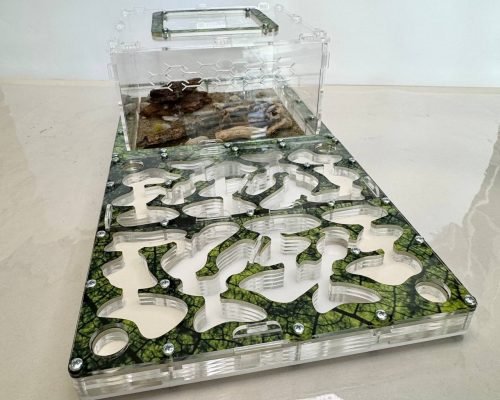 Modular Ant Farm 5XL Max kit - Image 3