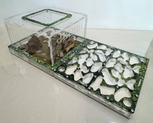 Modular Ant Farm 5XL Max kit - Image 5