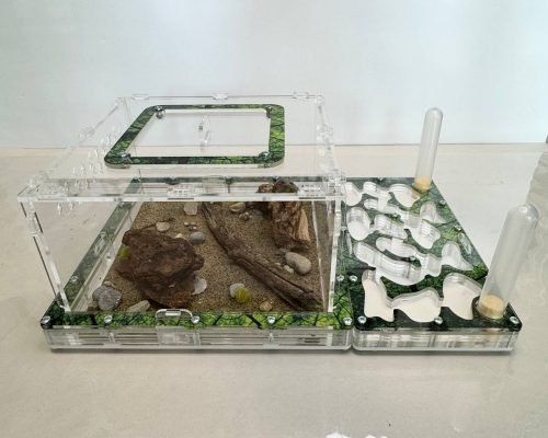 Modular Ant Farm 5XL kit - Image 3