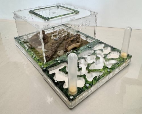 Modular Ant Farm 5XL kit - Image 5