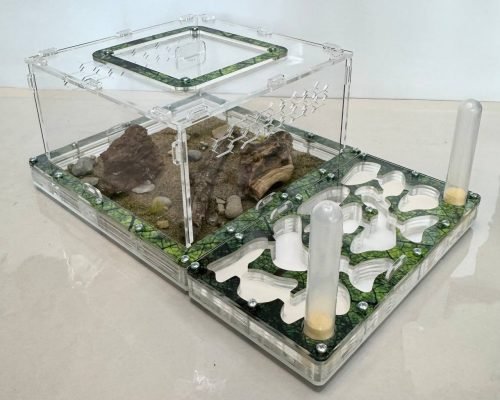 Modular Ant Farm 5XL kit - Image 4