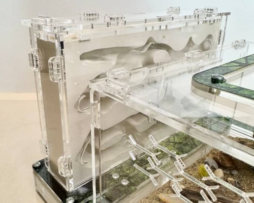 Modular Ant Farm 5XV Gypsum kit - Image 8