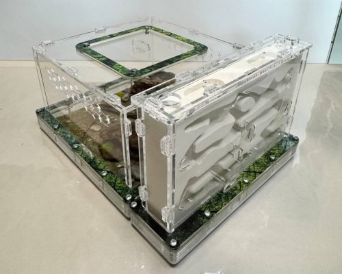 Modular Ant Farm 5XV Gypsum kit - Image 4