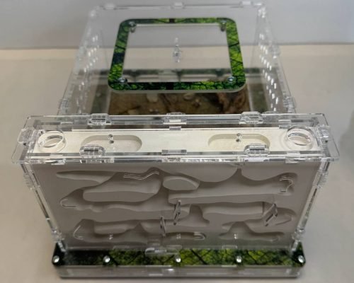 Modular Ant Farm 5XV Gypsum kit - Image 6