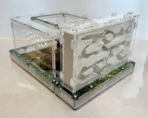 Modular Ant Farm 5XV Gypsum kit - Image 5